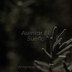 Asentar El Sueño - Sonidos de la Naturaleza Relajacion