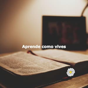 Aprende como vives - Playlist Musica para Estudiar
