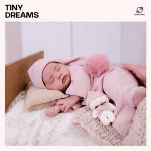 Tiny Dreams: Lullaby - Sleep Baby Music Zone