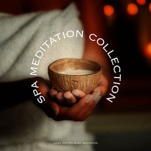 Spa Meditation Collection - Asian Zen Spa Music Meditation