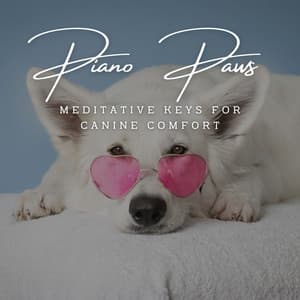 Piano Paws: Meditative Keys for Canine Comfort - Piano Animal