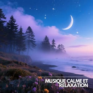 Voyage Thêta Méditatif - Musique Calme et Relaxation