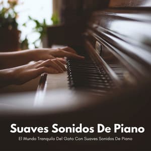 El Mundo Tranquilo Del Gato Con Suaves Sonidos De Piano - Musicas de Piano Masters