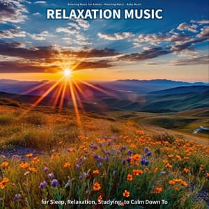 #01 Relaxation Music for Sleep, Relaxation, Studying, to Calm Down To - Relaxing Music for Babies
