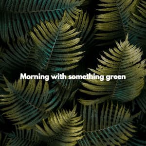 Morning with something green - No Box Sounds
