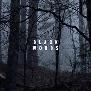 Black Woods - Rain Sounds & Nature Sounds