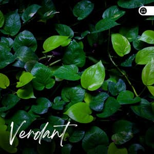 Verdant - Natural Sound Makers