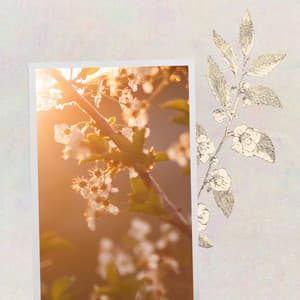 Superlative Music for Lounging Luxury - Piano Duo - Tokyo Bebop Jazz Playlist