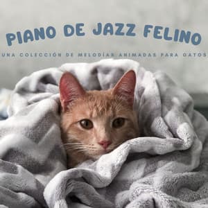 Piano De Jazz Felino: Una Colección De Melodías Animadas Para Gatos - Canal de piano clásico