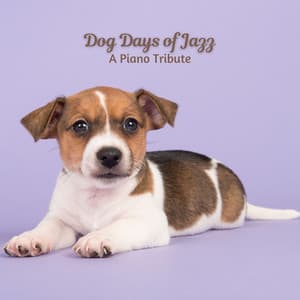 Dog Days of Jazz: A Piano Tribute - Cocktail Lounge Music