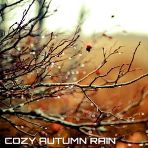 Cozy Autumn Rain - National Geographic Nature Sounds