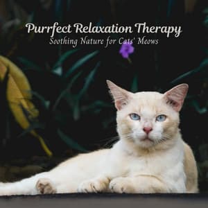 Purrfect Relaxation Therapy: Soothing Nature for Cats' Meows - Soothing Nature Sound