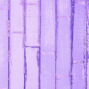 Bossa Guitars - Bgm for Brave Passion - Fine Dining Music