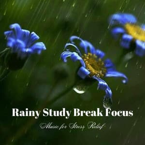 Rainy Study Break Focus: Music for Stress Relief - A Sudden Rainstorm