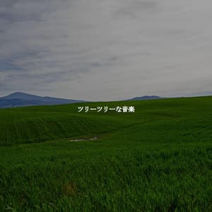 ツリーツリーな音楽 - Bossa Nova Jazz Cafe