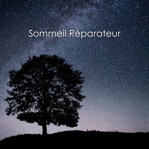 Sommeil Réparateur: L'Art du Repos en Harmonie Hz - Hz Sommeil Hypnose