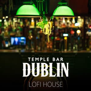Temple Bar Dublin – Lofi House - Dublin By Night
