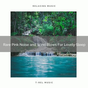 Rare Pink Noise and Wind Blows For Lovely Sleep - Zen Sounds