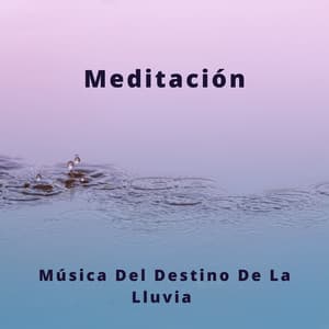 Meditación: Música Del Destino De La Lluvia - Música Para Niños