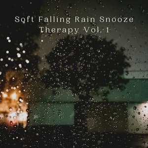 Soft Falling Rain Snooze Therapy Vol. 1 - Feel The Nature