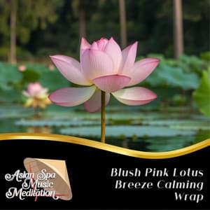 Blush Pink Lotus Breeze Calming Wrap - Asian Spa Music Meditation