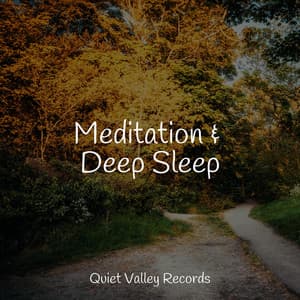 Meditation & Deep Sleep - Rain Sounds & White Noise