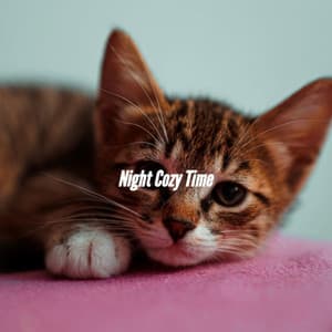 Night Cozy Time - Rainy Day Jazz