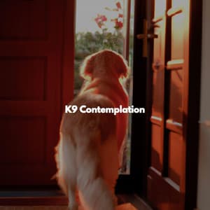 K9 Contemplation - Quebec Jazz Lounge