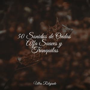 50 Sonidos de Ondas Alfa Suaves y Tranquilas - Canción de Cuna