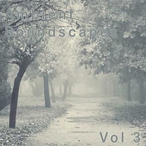 Ambient SoundScapes - Amanda Lee Falkenberg