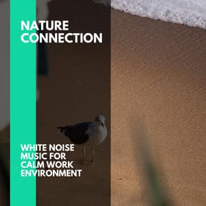 Nature Connection - White Noise Music for Calm Work Environment - Incredible Oceans