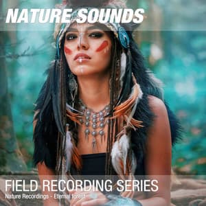 Nature Recordings - Eternal forest - Nature Sounds