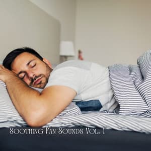 Baby Sleep: Soothing Fan Sounds Vol. 1 - Baby Sleep Academy