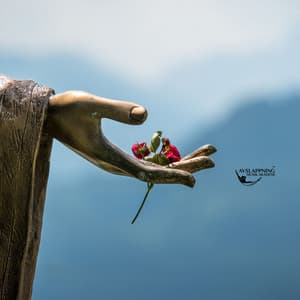 Närvaro - Avslappning Musik Akademi