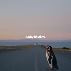 Rocky Rhythms - Jazz Bossanova Playlist