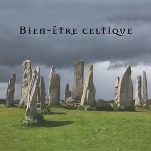 Bien-être celtique - Académie de Bien-Être