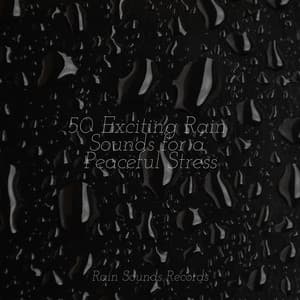 50 Exciting Rain Sounds for a Peaceful Stress - Relajación