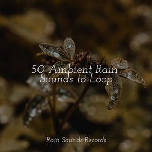 50 Ambient Rain Sounds to Loop - Relaxing Rain Sounds