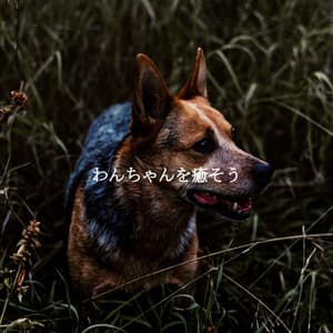 わんちゃんを癒そう - Cafe BGM