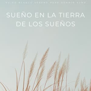 Sueño En La Tierra De Los Sueños: Ruido Blanco Sereno Para Dormir Asmr - Sonidos de sueño de ruido blanco