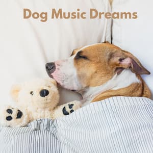 Dog Music Dreams - Hora de la Música del Perro