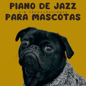 Piano De Jazz Para Mascotas Sin Preocupaciones - Colección Piano Jazz