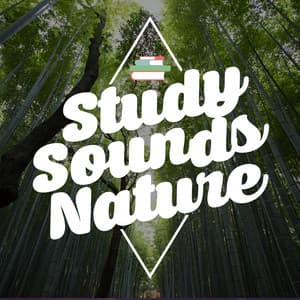 Study Sounds: Nature - Sounds Of Nature