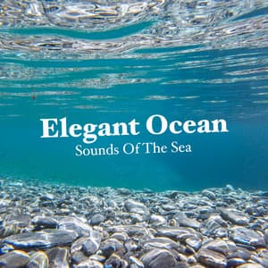 Elegant Ocean - Sounds Of The Sea