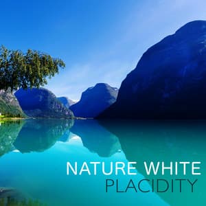 Nature White: Placidity - Relaxing Sounds of Nature White Noise Waheguru