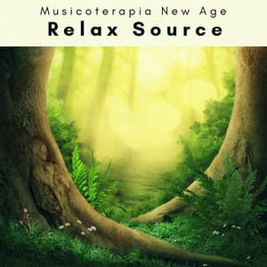 4 Ever Relax Source - Musicoterapia New Age