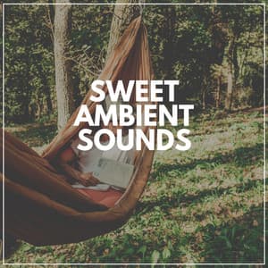 Sweet Ambient Sounds - Meditation Zen