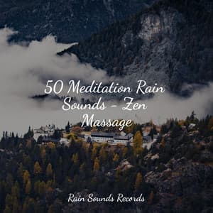50 Meditation Rain Sounds - Zen Massage - Sleep Sounds of Nature