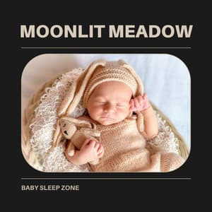 Moonlit Meadow: Instrumental Lullabies - Baby Sleep Zone