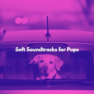 Soft Soundtracks for Pups - Relajado Musica Relajante para Perros